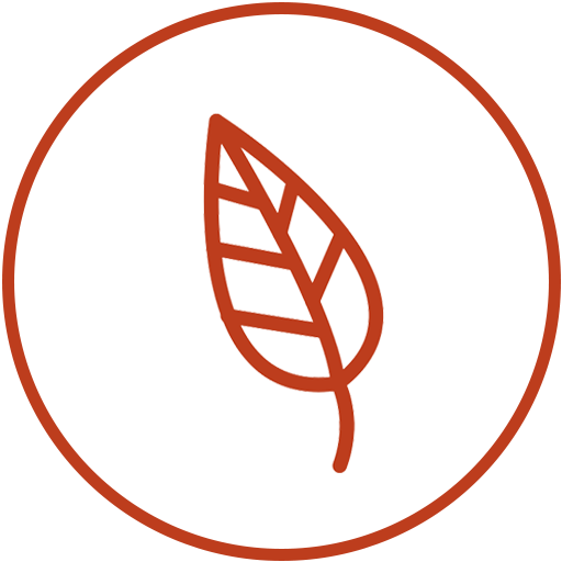 Plant Based Icon