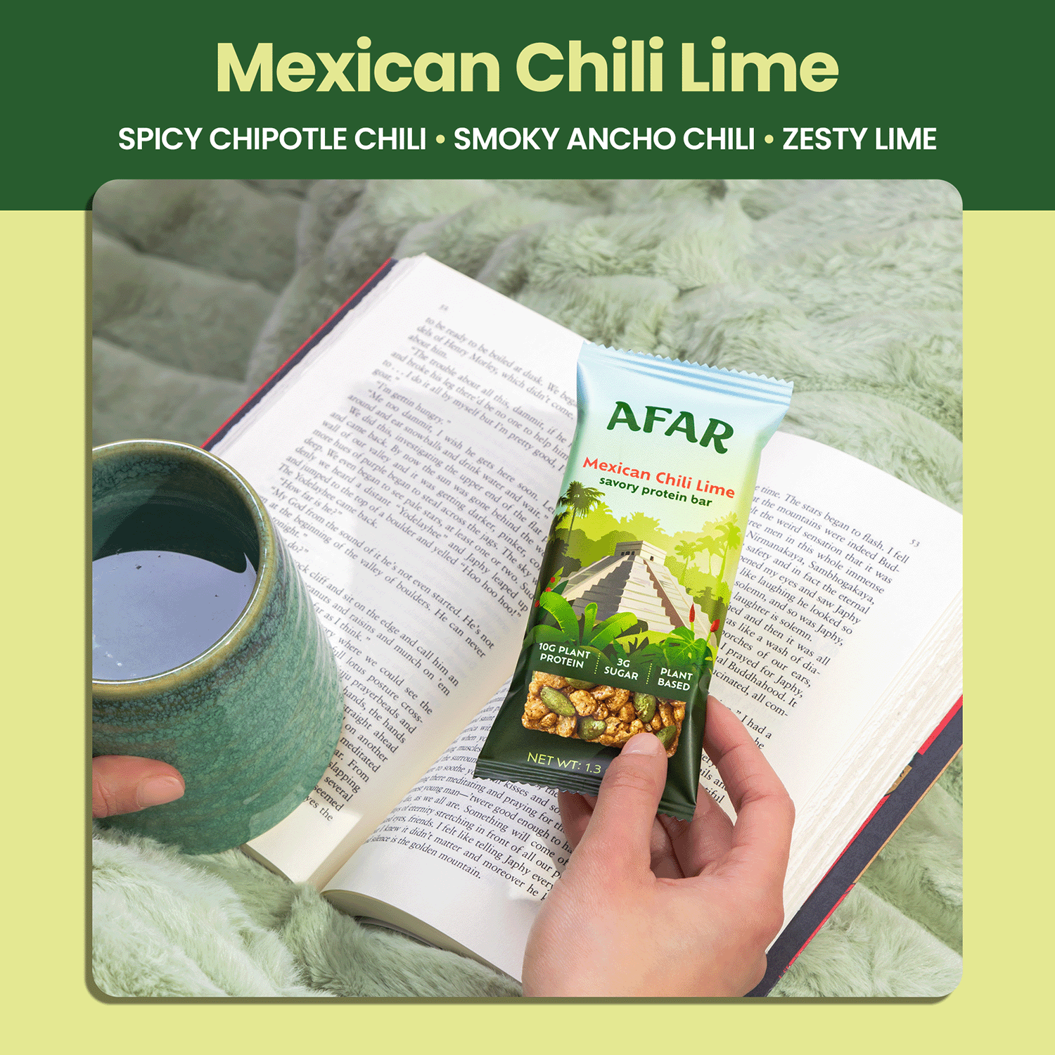 Afar savory protein bars - Mexican Chili Lime flavor notes