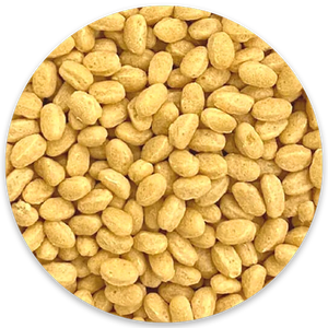 Soy Protein Crisps